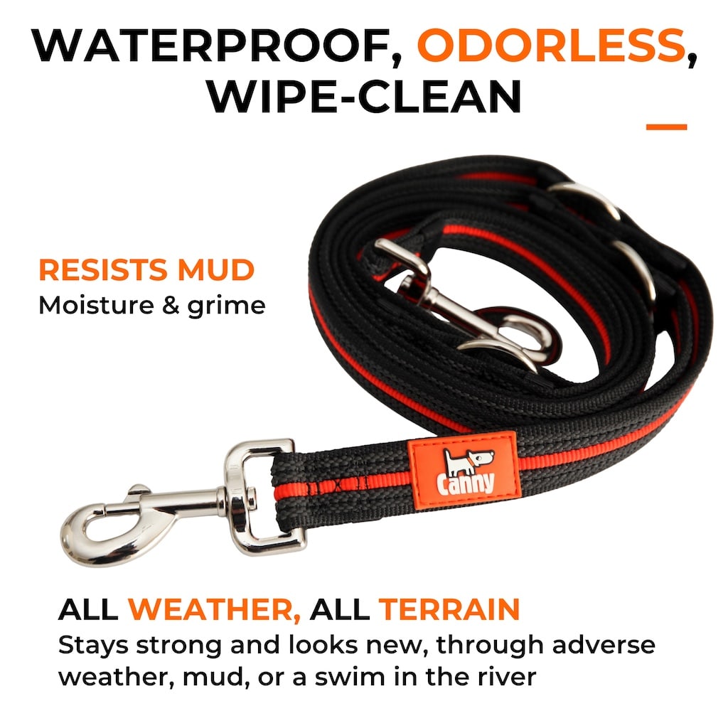 Canny Training Leash