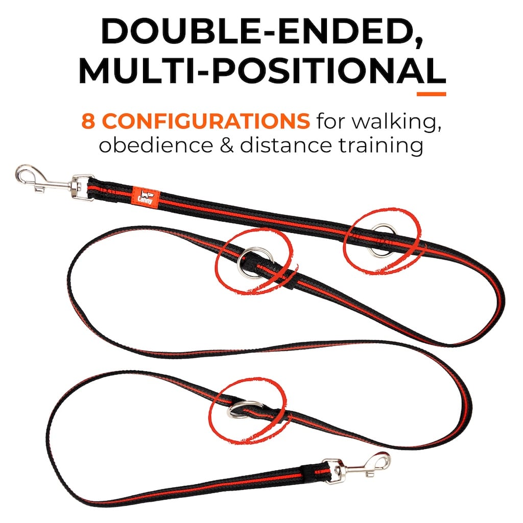 Canny Training Leash