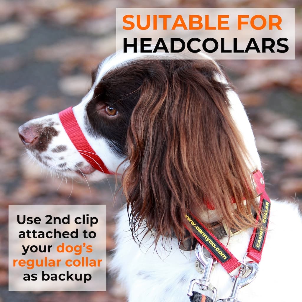 Canny Training Leash