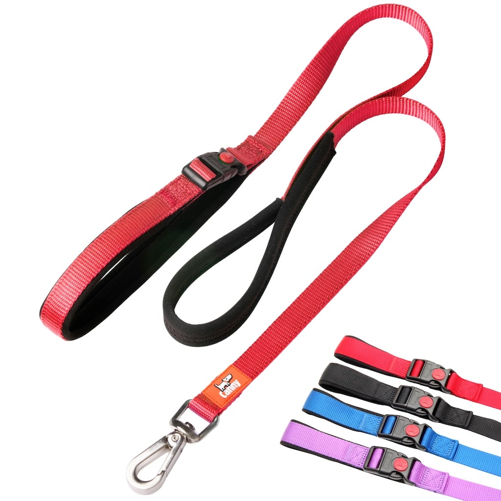 Canny CONNECT Lockable Leash