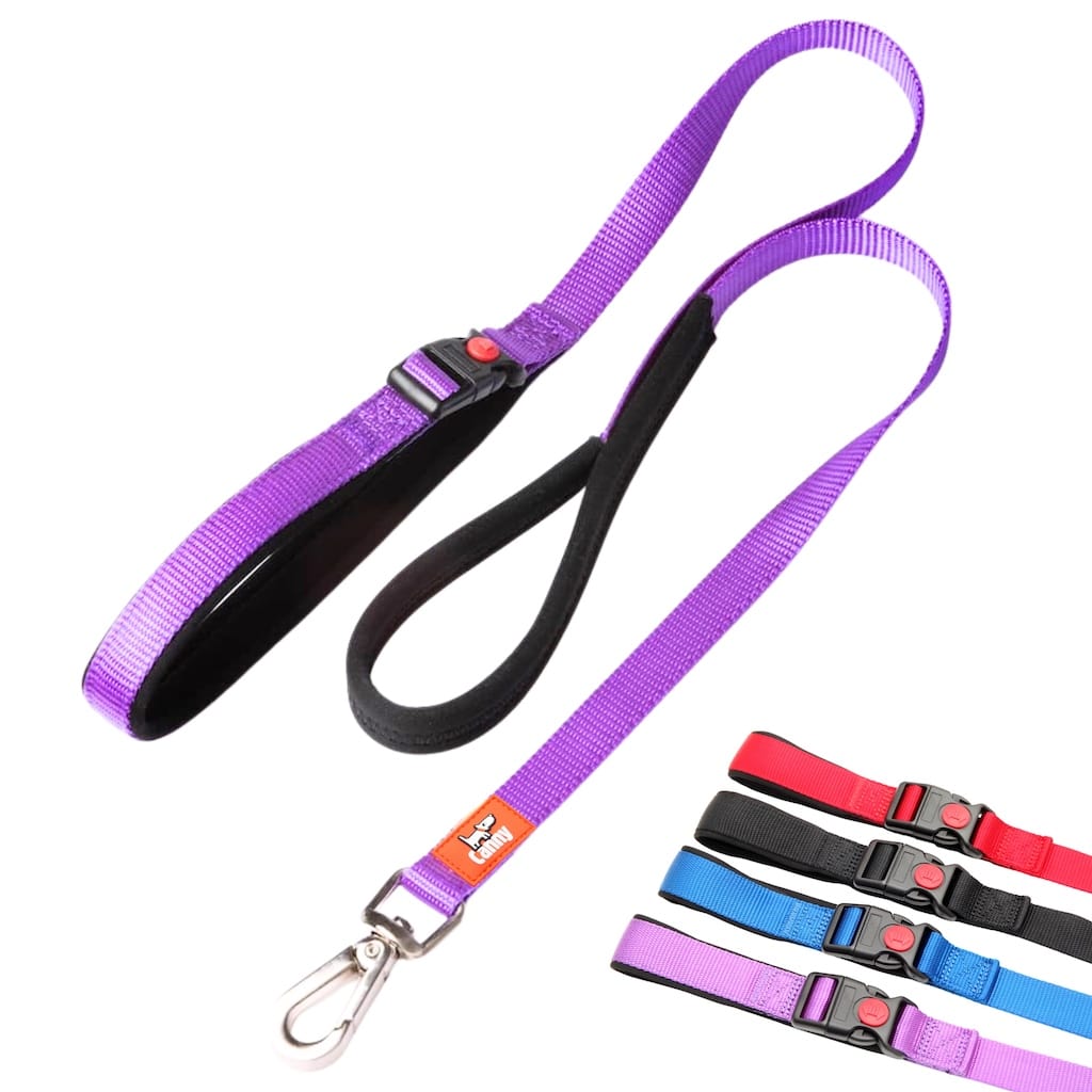 Canny CONNECT Lockable Leash